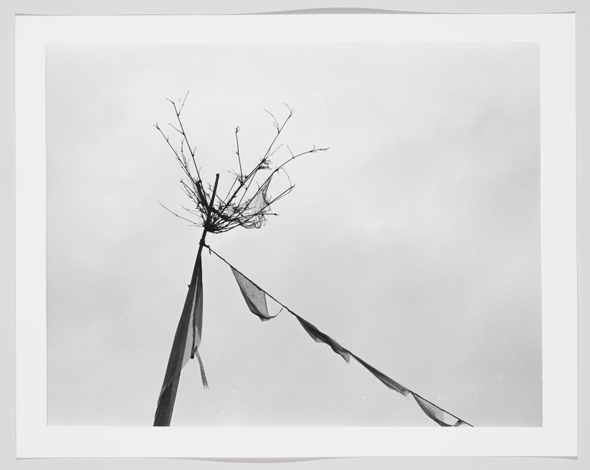 A black and white photograph depicting a bare tree branch with a few thin twigs, entangled with tattered pieces of fabric or ribbons, set against a plain sky. The image conveys a sense of desolation or abandonment.