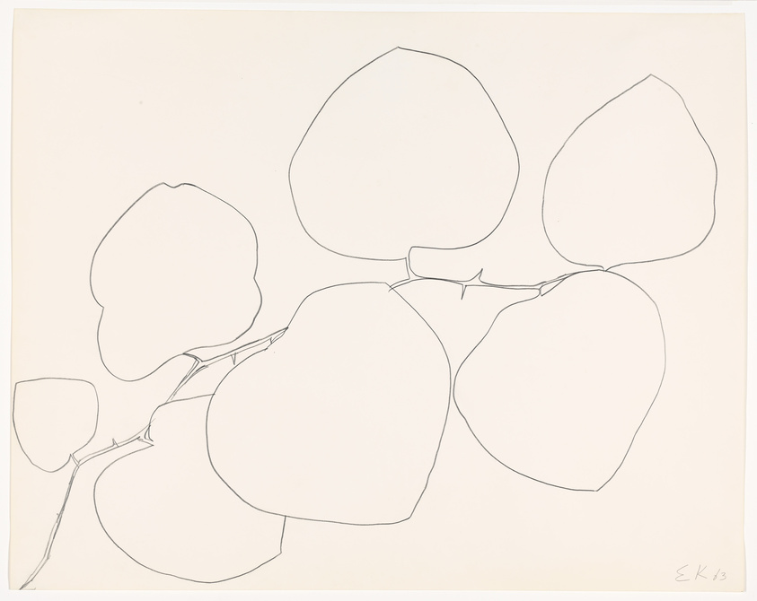 A minimalist line drawing on a white background featuring several abstract, organic shapes that resemble leaves or petals connected by thin lines, possibly depicting a stylized plant or flower. The artist's initials and the year '13 are inscribed in the lower right corner.